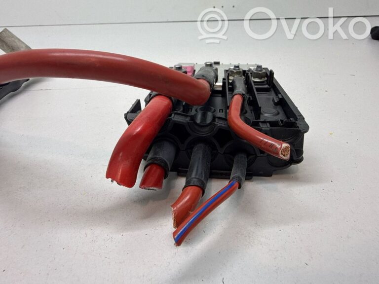 f0b47cfb1927dd1d62d3f431ce47ef15-53ce067b93857b1406803edbbce78b23_positive_wiring_loom