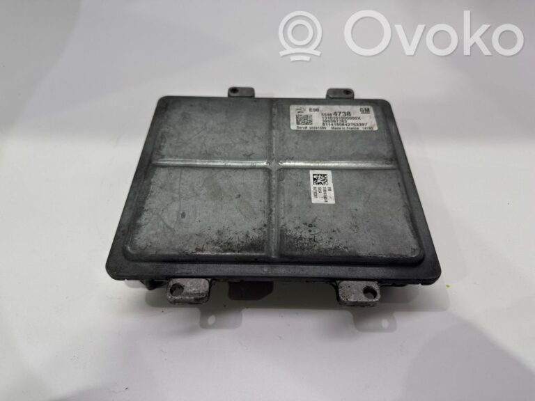f859389cd021cda4a80cc963f2f2a842-f029c4e16f0f0bea87f1d8e55066a3f9_calculateur_moteur_ecu