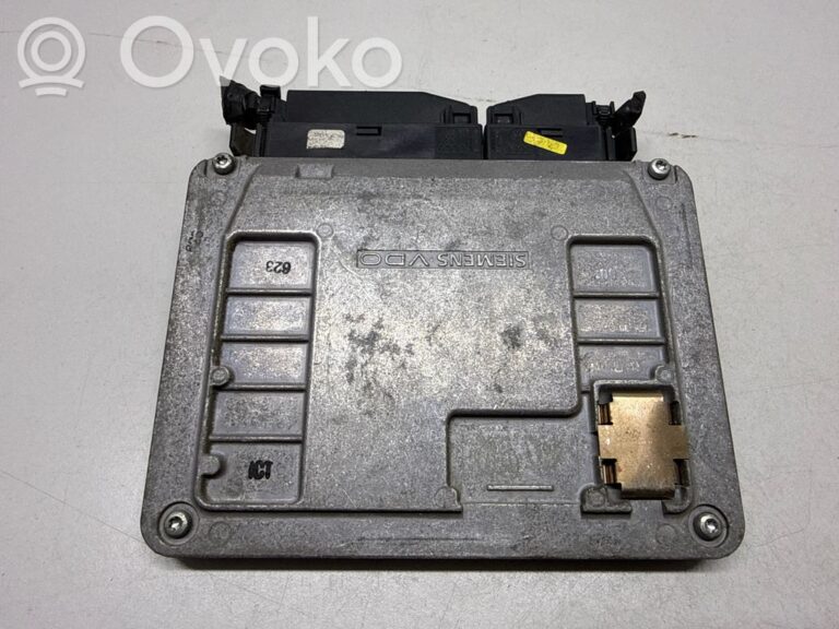 ae1026927842300c44949db0f1fdfff9-9e9f3fa9b82b4de839a91981b0024949_engine_control_unit_module