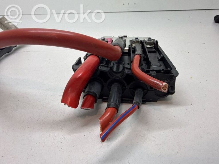 f0b47cfb1927dd1d62d3f431ce47ef15-53ce067b93857b1406803edbbce78b23_positive_wiring_loom