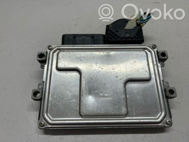 7025f529fb8350e3dbde2d95a81383ae-eaa9c73787d81b1d7ebe212e7b5bc97a_engine_control_unit_module