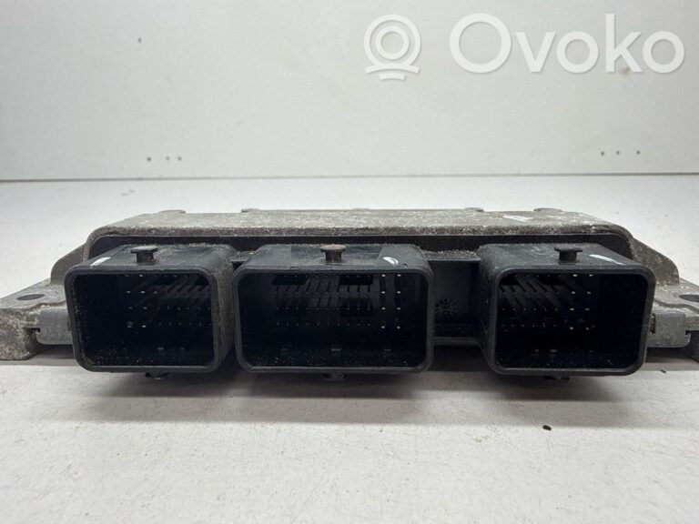 896fe162d90dcbc4d8673843dfdf8fc0-76e304d651257ede70843e273e7336c2_engine_control_unit_module