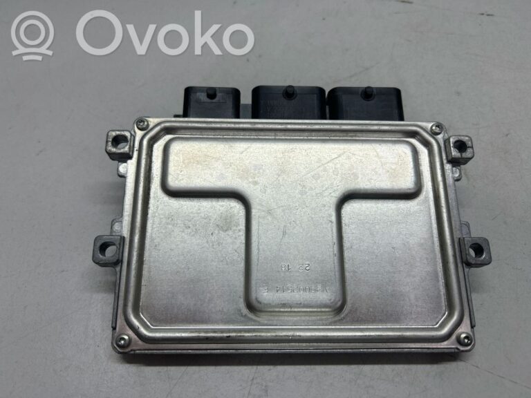 955af5c2715ee8e11354ba7182d2a0e4-908c07cd9796c068b94b76cd112b31b6_engine_control_unit_module