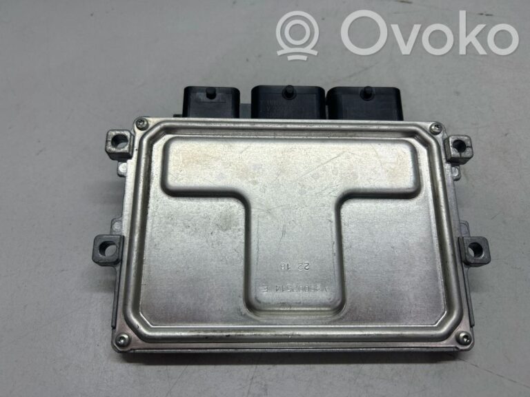 955af5c2715ee8e11354ba7182d2a0e4-908c07cd9796c068b94b76cd112b31b6_engine_control_unit_module