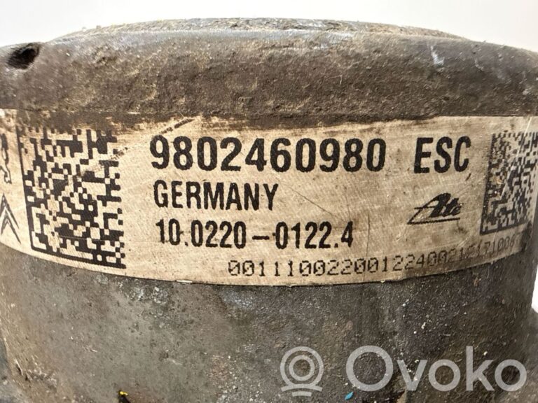 77654c74c4eca5a26ae6958c0a4d0a9c-6f196e5cd6b02c1958ba42f55fde9c22_abs_pump