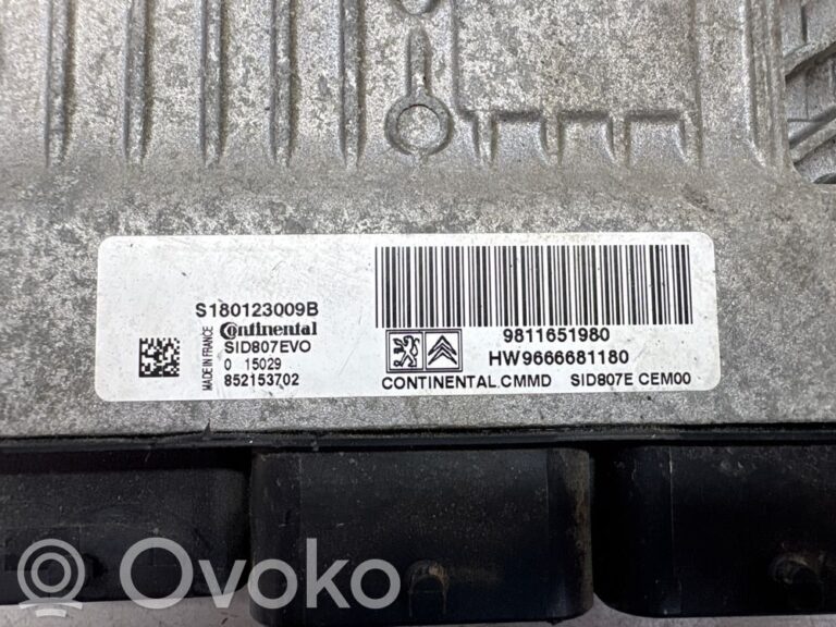 a4a1297ccb3a529c6b299bb9285e1d9d-b10e46fd08021b6a99ce532e56908cf4_engine_control_unit_module