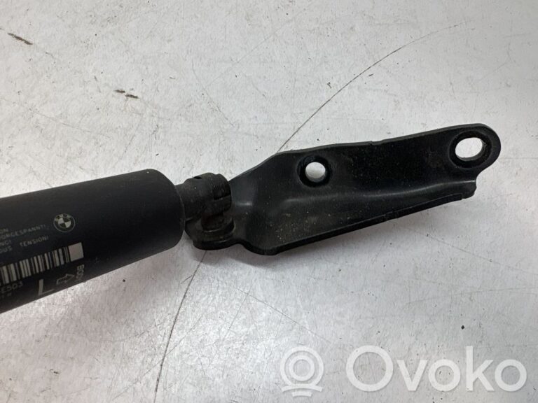 ab2dc7247072b4c16cf4cb8bdabb6678-75070751f71e0edce928424d65bae11e_tailgate_trunk_strut_damper