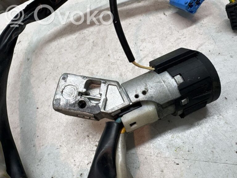 b1b8eeb97303afc73ac86966623b42ae-a1755f98e5f6ce078f4e9834ae4f3aa2_ignition_lock