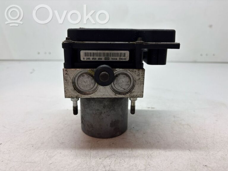 b1e175dd447bc468d3cd4458b3886c23-7bf745bb6bbd7f29ce07c637bba60551_abs_pump