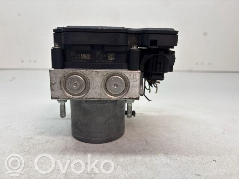 bd72f50a76445e96288b6190483d55e0-8676a3601ee5a2b4d81a81eb4752cbc6_abs_pump