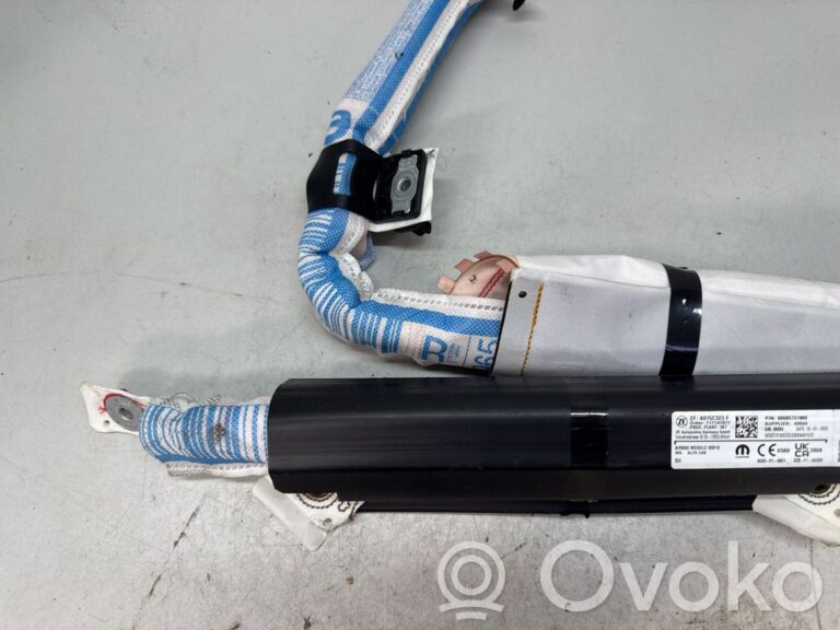 c57eecadf901de9f5082a0c915e433b8-48f208c7073446fbadfaab7707e971c5_front_door_airbag