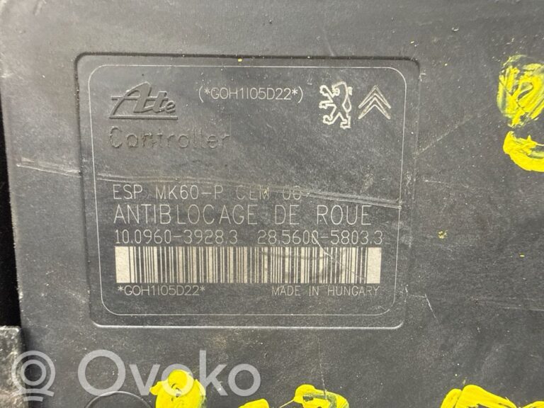 c6661f7ea907c63957f963d5eb263b03-f162a019e269294deb01d28db869e237_abs_pump