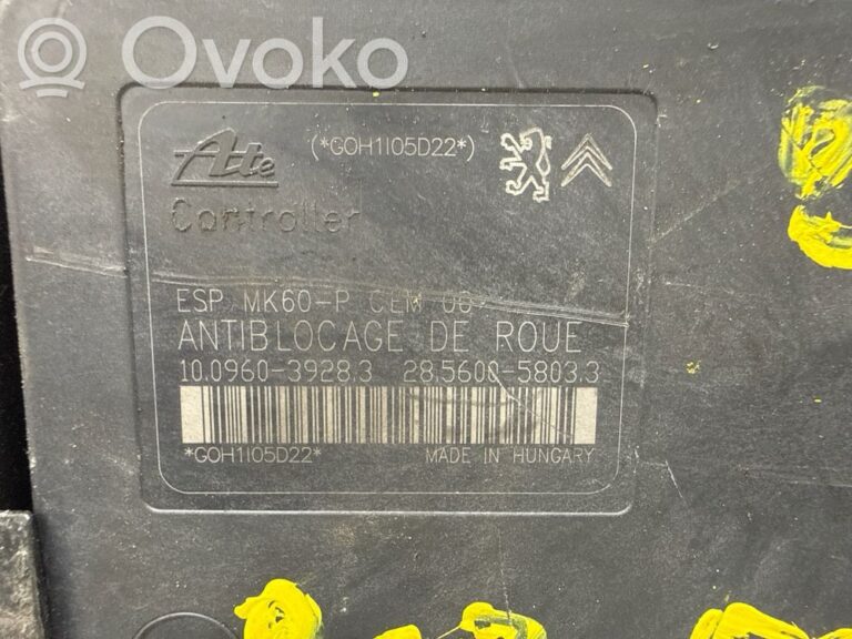c6661f7ea907c63957f963d5eb263b03-f162a019e269294deb01d28db869e237_abs_pump