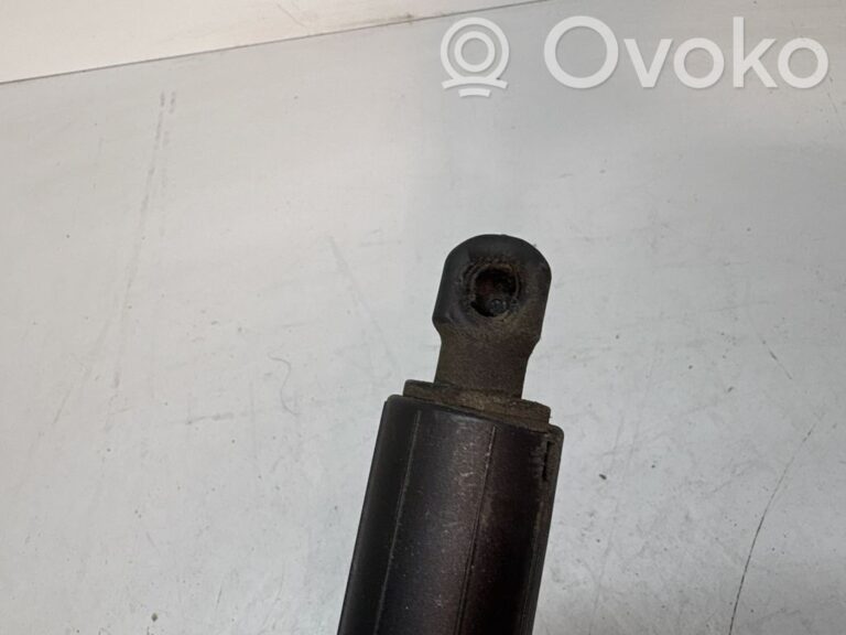 d026907dedc9cad41890fe389864c801-407f870cfb258aefb41b0797e2bb24ea_tailgate_trunk_strut_damper