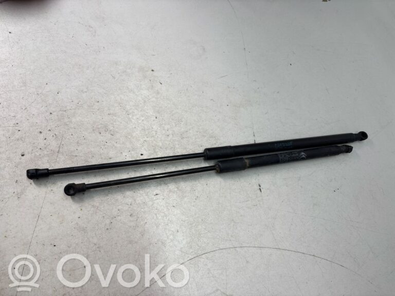 d0614440cd749c2f4274709ea5023fbc-26fa02de224c24eb79e2e2b88a163f77_tailgate_trunk_strut_damper