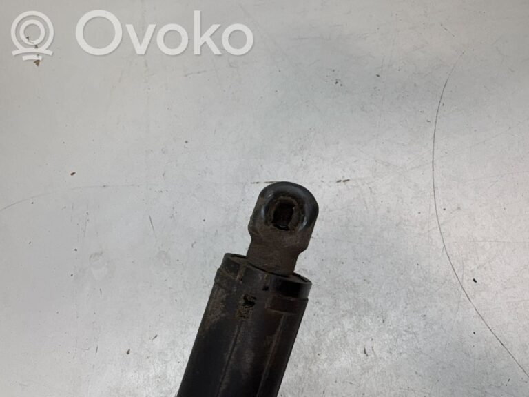 d485f4b3738c27161e59b3051a05c368-714e33f53b5ddd5e992a6bcb0aed526e_tailgate_trunk_strut_damper