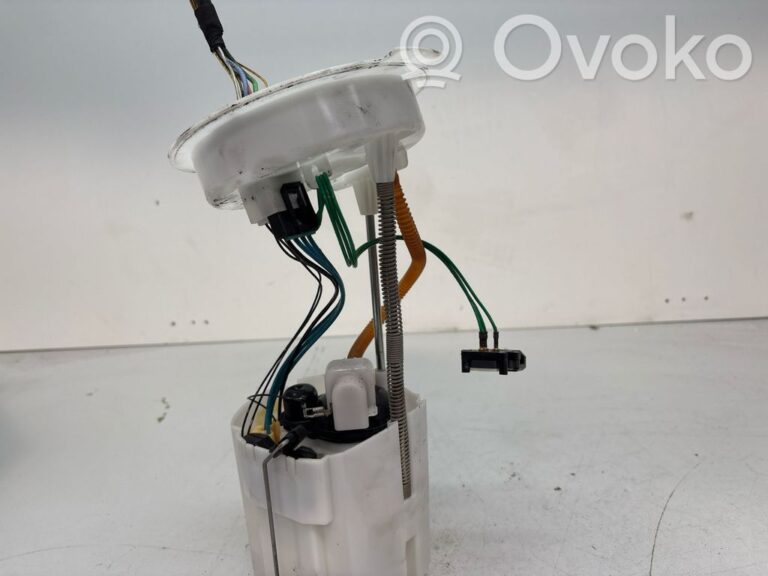 d6410bb34963d9a0ad7338e6dce81c6f-9a38a2fcfb7994b821af6ec66aa4d06a_in_tank_fuel_pump