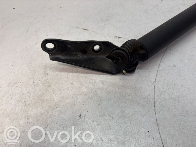ee139aff7ada20591bb172e841122f0e-6def1e18aa015ad2fcff84b813167c9e_tailgate_trunk_strut_damper