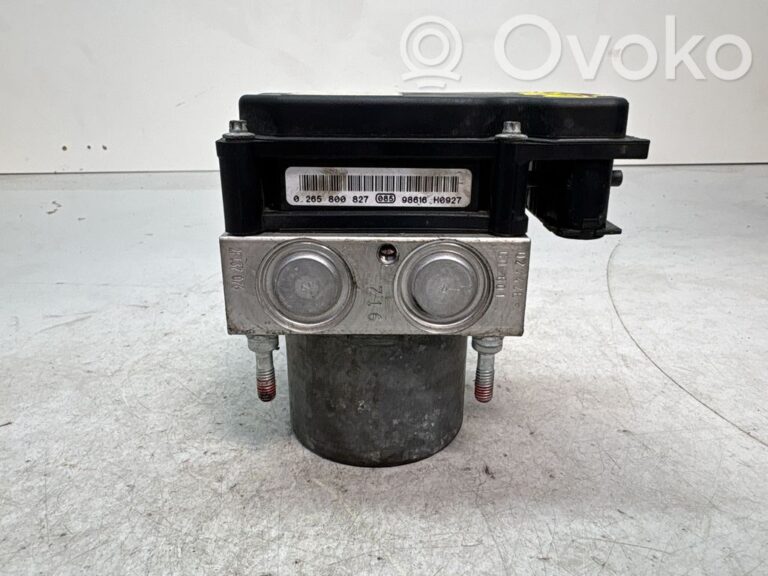 f10167e69dc95a543349ee1183e2c5ff-9a663a0fdaa7b87de318a8b091eca19c_abs_pump