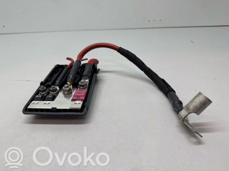 04b053f674b4d50083ab2ccf261b99b8-1d044f126f6211a4da4d0b0afdea40eb_positive_wiring_loom