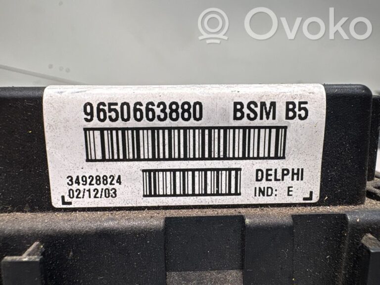 Module de fusibles
