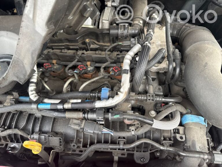 Moteur